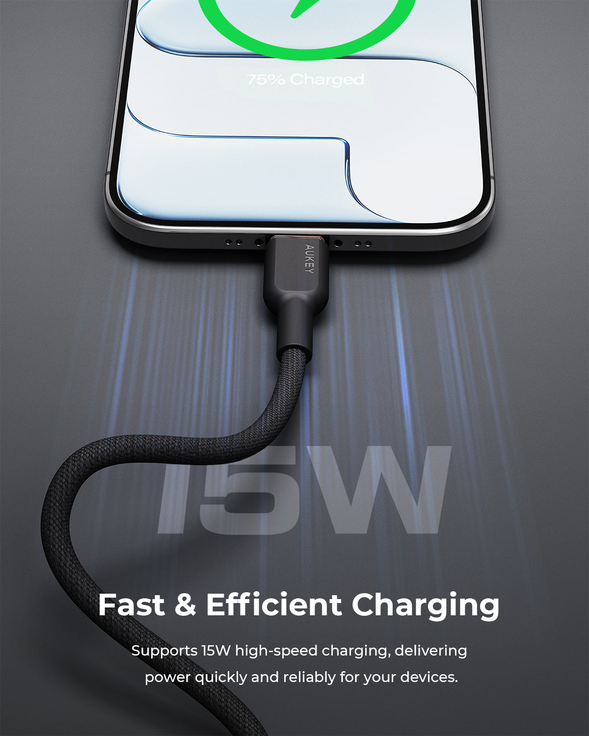 Aukey CB-DAC03 15W Circlet AC 1m DTY Braided Fast Charging Fast Data Transfer USB-A to USB-C Cable