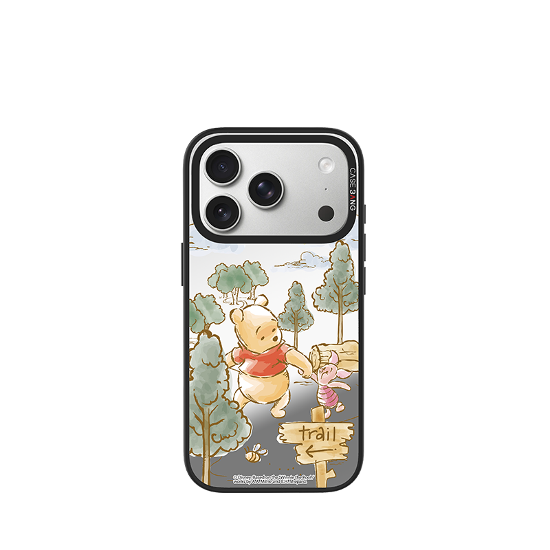 CASEBANG Winnie the Pooh Series - iPhone 17-15 Series | Snap-On Cover