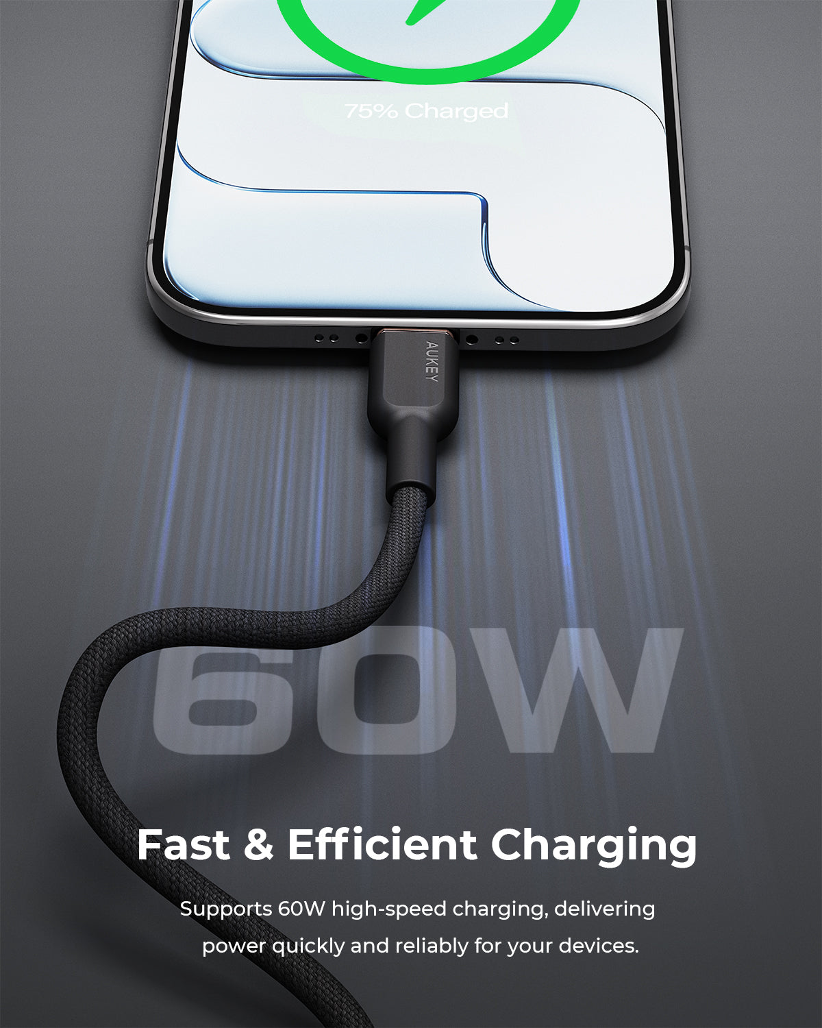 AUKEY CB-DCC67 60W Circlet CC Fast Charging Fast Data Transfer USB-C to USB-C 1m DTY Braided Cable