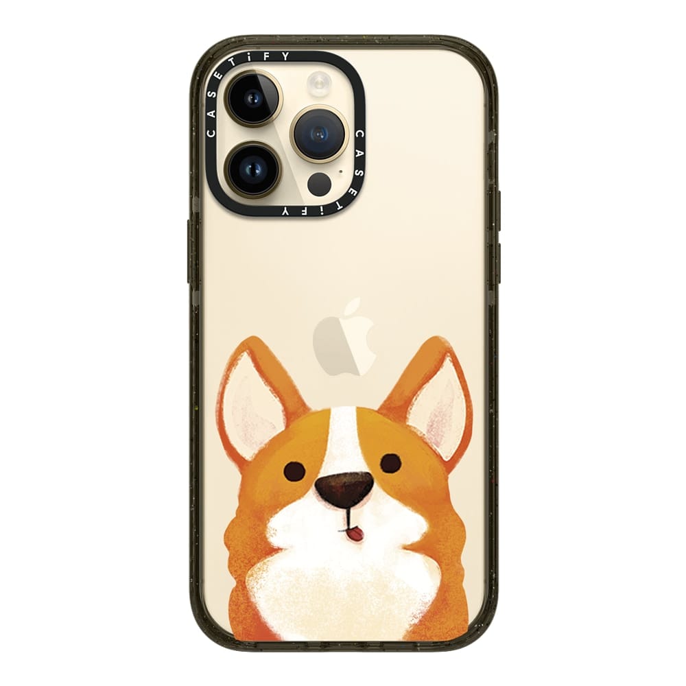 Casetify 